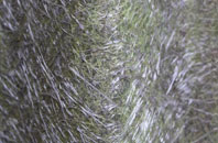 Hoggrills End fibreglass roof work